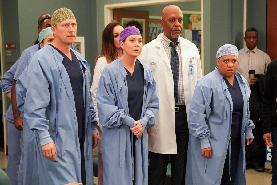 Grey’s Anatomy Season 17 Story, Cast, and Impact
