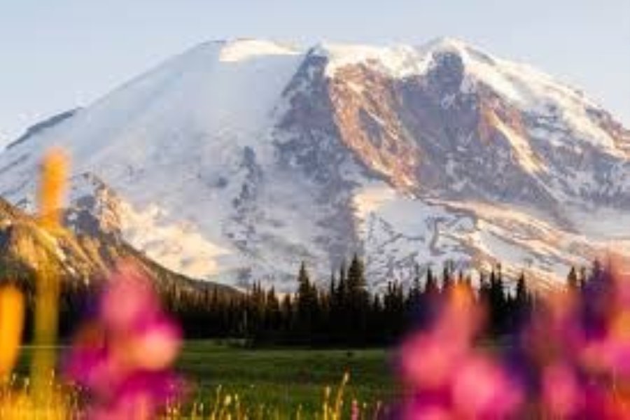 Mt Rainier Itinerary for a Perfect Mountain Escape