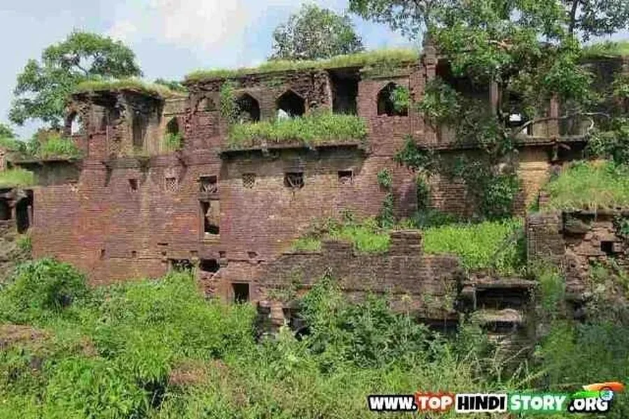Lodi Mata